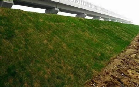 Bio-Engineered Solutions 2