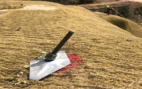 Bio-Engineered Solutions 1