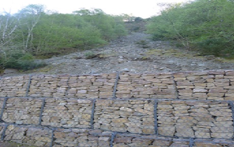 Geogrids 3